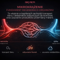 43.png